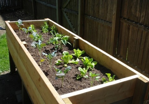 DIY Project: Vegetable Planter Box (plans, photos) | Stark Insider